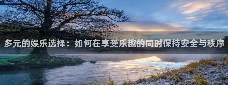 万向娱乐