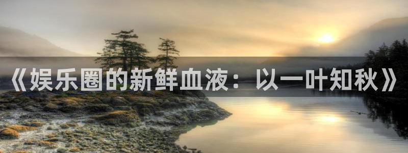 万向娱乐app
