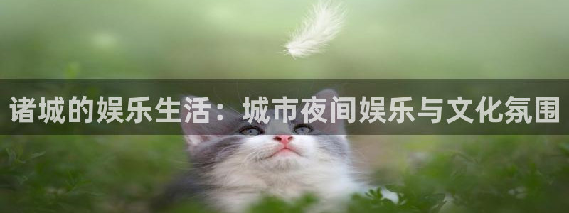 万向娱乐