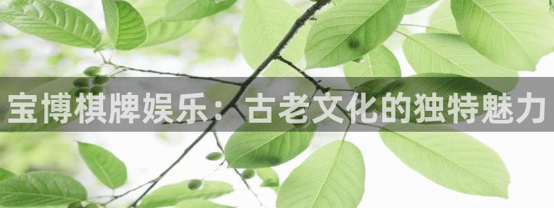 万向娱乐app